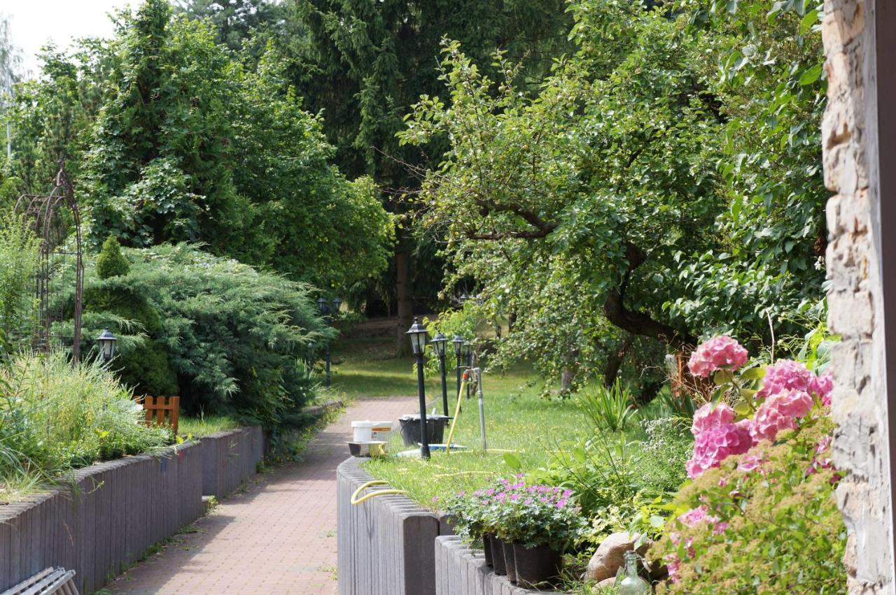 Ferienwohnung In Werder Havel Innenstadt Εξωτερικό φωτογραφία
